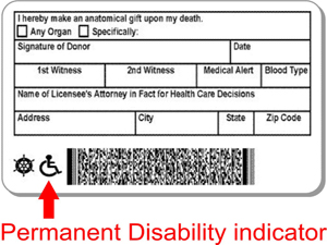 Permanent Disability Indicator