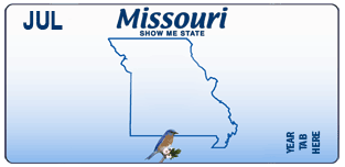 Personalized License Plate