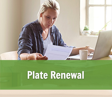 Plate Renewal Plate Renewal